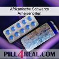 African Black Ant Pills 39